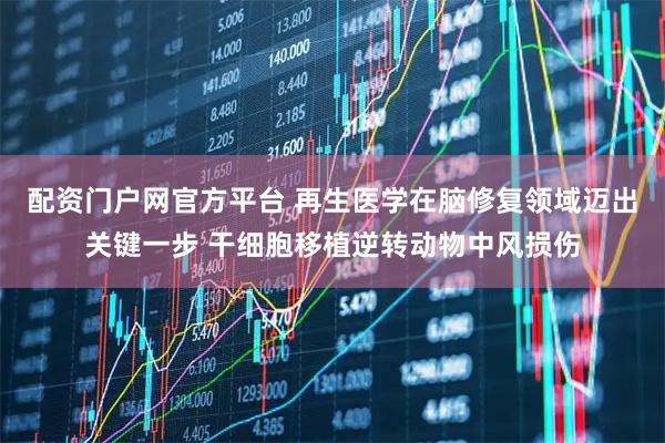 配資門戶網(wǎng)官方平臺(tái) 再生醫(yī)學(xué)在腦修復(fù)領(lǐng)域邁出關(guān)鍵一步 干細(xì)胞移植逆轉(zhuǎn)動(dòng)物中風(fēng)損傷
